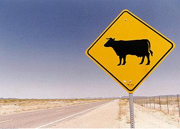 动作合作俯视角冒险游戏《忍者神龟：破碎命运》现已正式推出 获好评